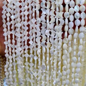 تصویر ریسه صدف 