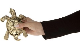 تصویر زیر سیگاری لاکپشت 