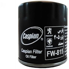 تصویر فیلتر روغن خودروی کاسپین مدل FW-815 مناسب برای پژو 405 