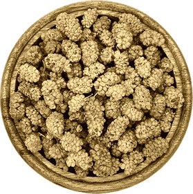 تصویر توت خشک تهران 