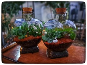 تصویر تراریوم 