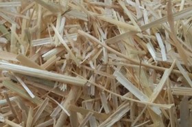 تصویر کاه جو 