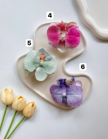 تصویر کلیپس ارکیده 