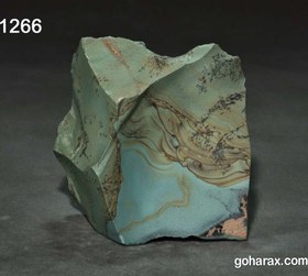 تصویر سنگ فسیل شجر دندریت 