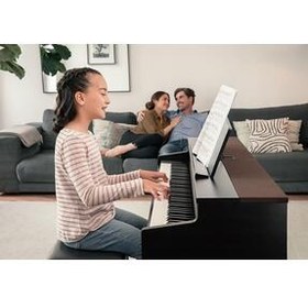 تصویر پیانو CN301R ROSE TREE COLOR PIANO DIGITAL هد 