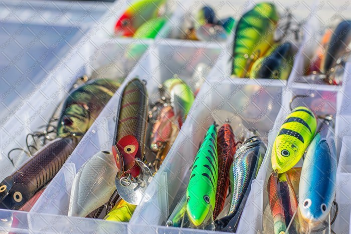 MAVA LURES