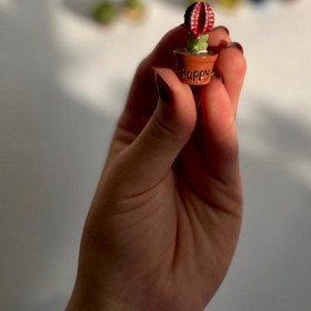 تصویر دکوری کاکتوس - 7 accessory