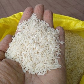 تصویر برنج طارم‌ هاشمی تولید شده با روش بیولوژیک عمده (10 کیلویی) 