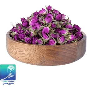 تصویر غنچه گل محمدی 