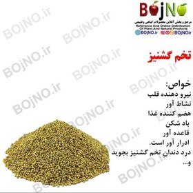 تصویر تخم گشنیز 100گرمی 