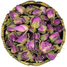 تصویر غنچه گل محمدی 