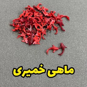 تصویر ماهی خمیری 