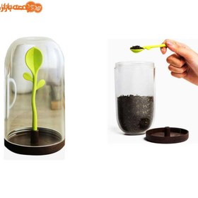 تصویر ظرف نگهدارنده چای و قهوه مدل برگ ا بانکه نگهداری چای و قهوه بانکه نگهداری چای و قهوه