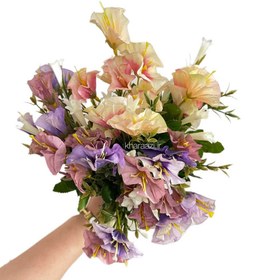 تصویر گل اطلسی 