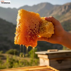 تصویر عسل گون موم دار ۱ کیلویی 