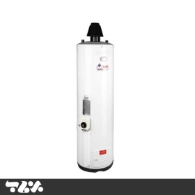 تصویر آبگرمکن گازی ایستاده برفاب مدل 60-10 