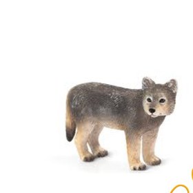تصویر توله گرگ Timber Wolf Cub 387244 