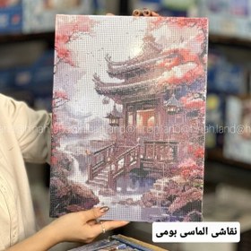 تصویر نقاشی الماسی طرح گربه سایز ۴۰ در ۳۰ 