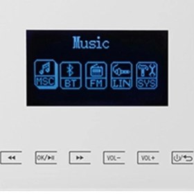 تصویر موزیک پلیر mp100 