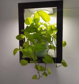 تصویر قاب چوبی مخصوص گیاه آپارتمانی با نور مصنوعی 20 * 30 سانت 