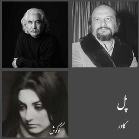 تصویر پل - کاور 