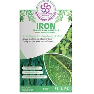 تصویر فروشگاه تاروت لند