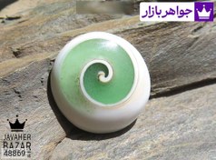 تصویر صدف مهره مار زیبا کد ۴۸۸۶۹ 
