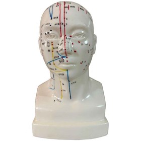 تصویر مولاژ طب سوزنی سر 