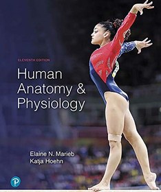 تصویر کتاب Human Anatomy & Physiology, 11th Edition - Original PDF دانلود pdf کتاب Human Anatomy & Physiology, 11th Edition - Original PDF