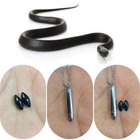 تصویر مهره مار مدالی Mohremar