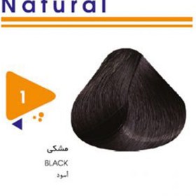 تصویر رنگ مو گیاهی ویتامول مردانه مدل Black 