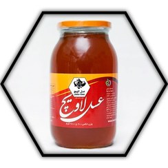 تصویر عسل آویشن و گون لرستان 910 گرمی 