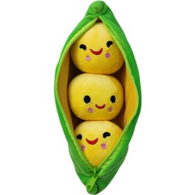 تصویر نخود فزنگی نانو 