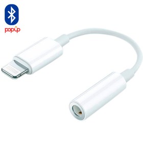 تصویر تبدیل لایتنینگ کیزا CAZA K1 Lightning to AUX 10cm 