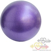 تصویر توپ پیلاتس نی دار مدل 321 قطر ۲۰ سانتی متر 