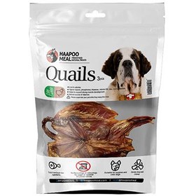 تصویر بلدرچین هاپومیل 