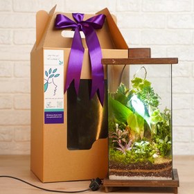 تصویر تراریوم اسکوئر بزرگ 