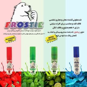 تصویر اسپری خوشبو کننده دهان و دندان فروستی مدل نعناع خنک مجموعه 25عددی Frostie 