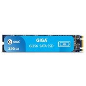 تصویر اس اس دی اینترنال گیگا مدل M.2 ظرفیت 256مگابایت Giga 256 SSD M.2 