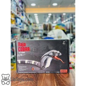 تصویر مار کنترلی 