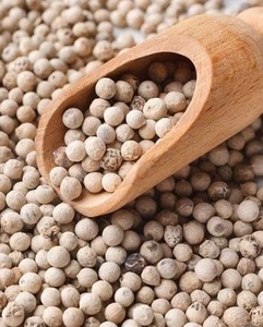 تصویر فروشگاه بهتن سلامت