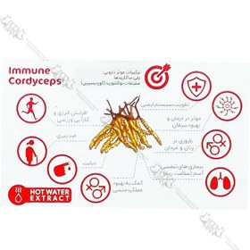 تصویر کوردیسپس ماشروم مد | Mushroom Med Immune Cordyceps 