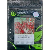 تصویر بذر گوجه فرنگی زیتونی گلخانه ای سانتیاگو 