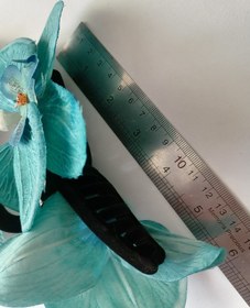 تصویر کلیپس ارکیده 160 