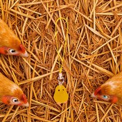 تصویر آویز موبایل جوجه شب تاب مدل 03 