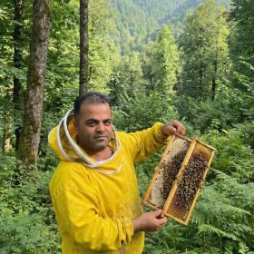 تصویر عسل زیرفون (نمدار) 