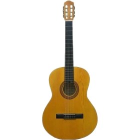 تصویر گیتار کلاسیک پرشین 2/4 