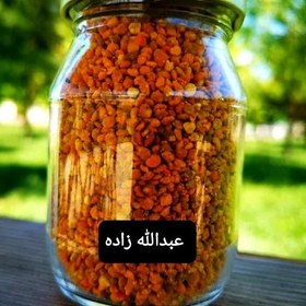 تصویر گرده گل چای 