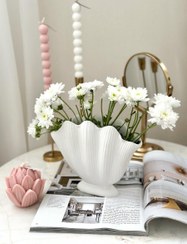 تصویر گلدان صدف ژورنالی 