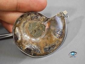 تصویر فسیل امونیت اصل 30 گرم 